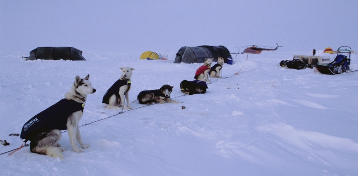 Artide - Il Polo Nord Geografico situato a 90 gradi di Latitudine nord